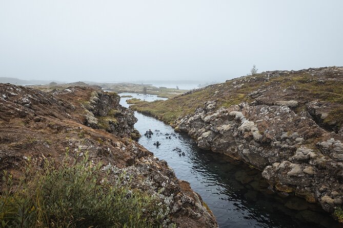 Golden Circle | Private Tour | PRO Photo Package - Friðheimar tomato farm: the soup stop you actually plan for