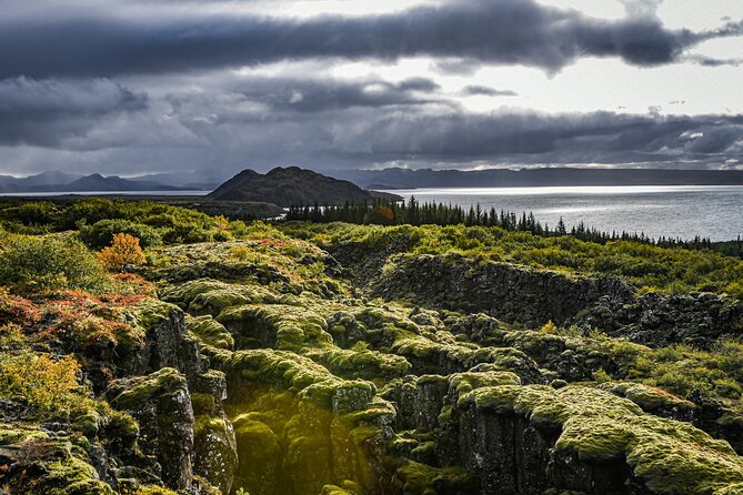 Golden Circle, Secret Lagoon & Friðheimar (Small Group) - Small-group logistics: pickup timing, long drives, and staying un-rushed