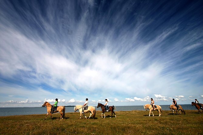 Golden Circle & Viking Horse Experience - Geysir Geothermal Area: Watching Erupting Hot Springs in Real Time