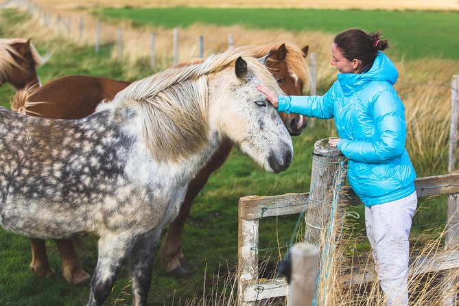 Golden Circle & Viking Horse Experience - Practical Stuff That Makes or Breaks the Day