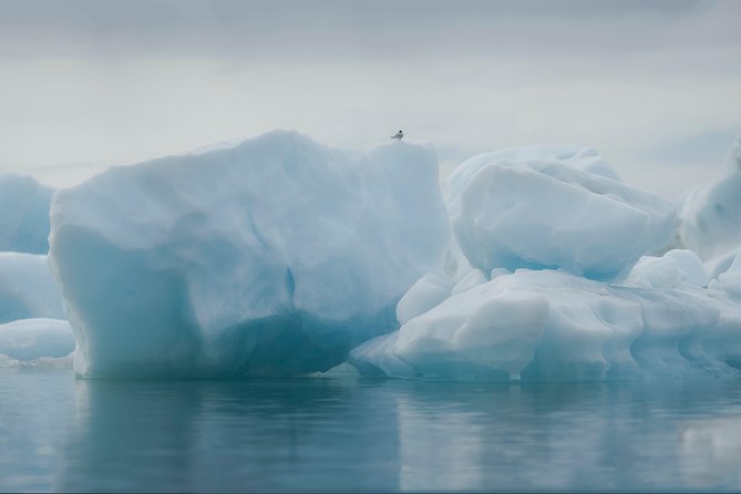 Guided Glacier Lagoon and Diamond Beach Day Trip from Reykjavik - Northern Lights on the return trip: set expectations and pack smart