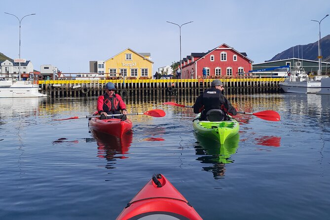 Guided kayak tour in Siglufjörður / Siglufjordur. - Key things that make this kayak tour in Siglufjörður worth it