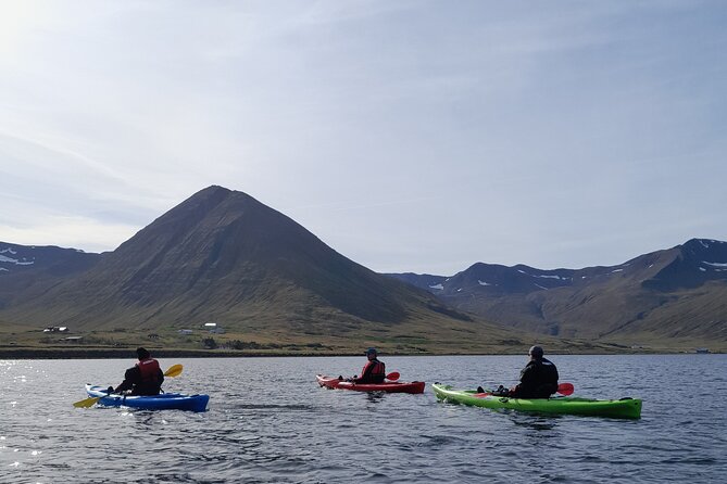 Guided kayak tour in Siglufjörður / Siglufjordur. - Kayak Pickup at Siglo Sea Headquarters in Siglufjörður