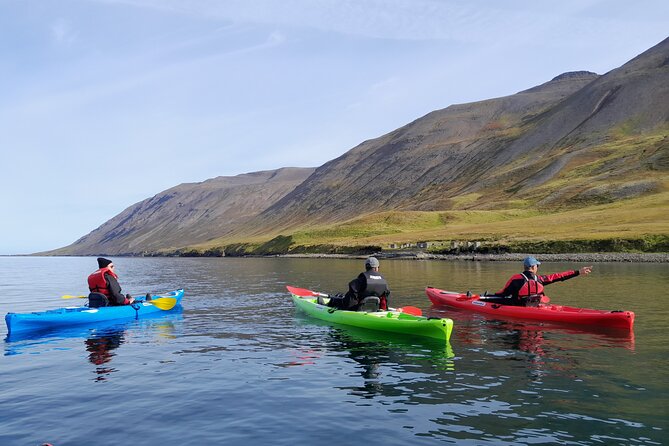 Guided kayak tour in Siglufjörður / Siglufjordur. - Paddling Sigló fjord: shipwrecks, avalanche marks, and a lighthouse