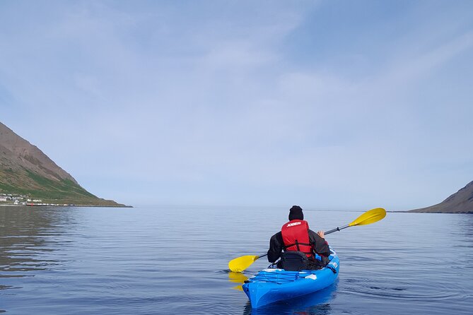Guided kayak tour in Siglufjörður / Siglufjordur. - What the 2.5 hours feels like on the water
