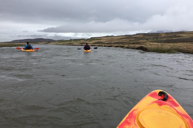 Guided Sit on Top Kayak Tour near Akureyri - What happens in the 2-hour guided sit on top kayak portion