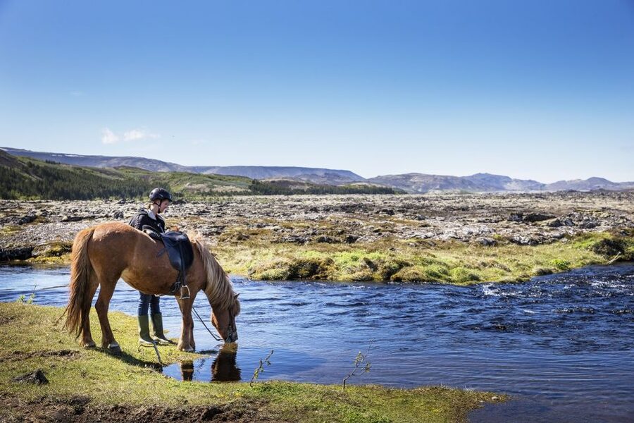 Hafnarfjörður: Horseback Riding Tour in Reykjavik Area - Key things that make this Hafnarfjörður horse ride worth your time