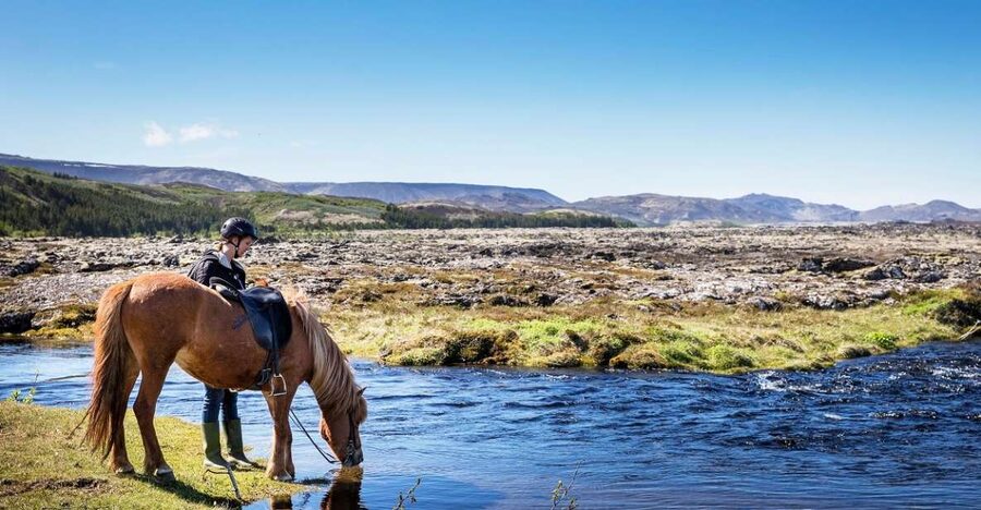 Hafnarfjörður: Horseback Riding Tour in Reykjavik Area - Getting to Íshestar and what you’ll see before you mount