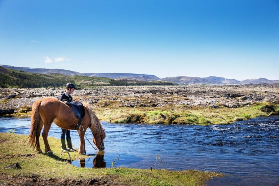 Hafnarfjörður: Horseback Riding Tour in Reykjavik Area - Why this tour feels beginner-friendly (even if you’ve never ridden)