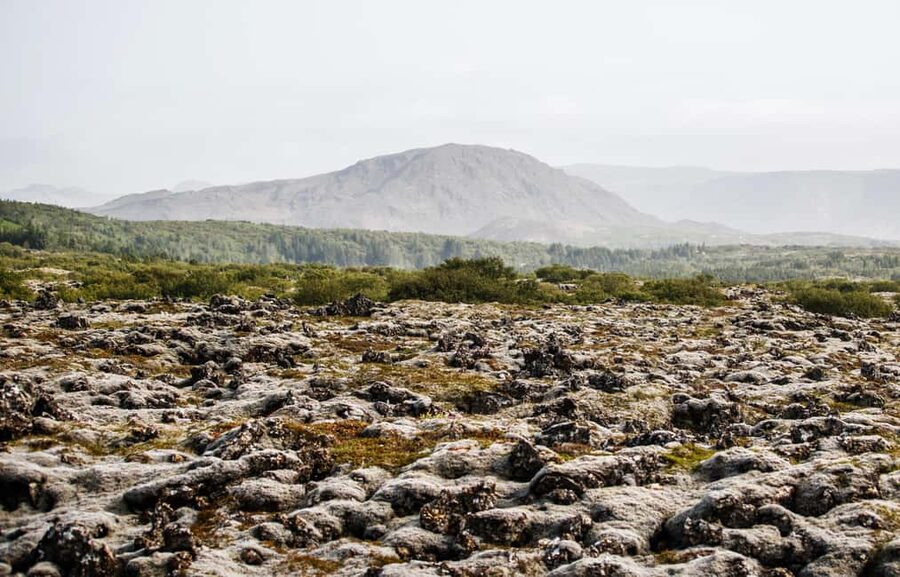 Hafnarfjörður: Horseback Riding Tour in Reykjavik Area - Gear and safety: what’s included, what you still need