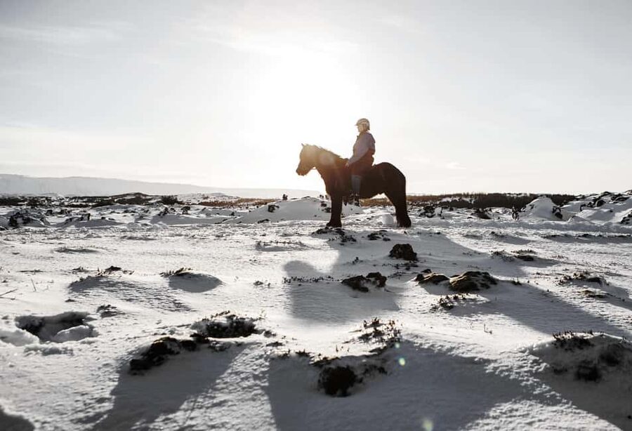 Hafnarfjörður: Horseback Riding Tour in Reykjavik Area - Price and value: is $132 for 50 minutes actually fair?