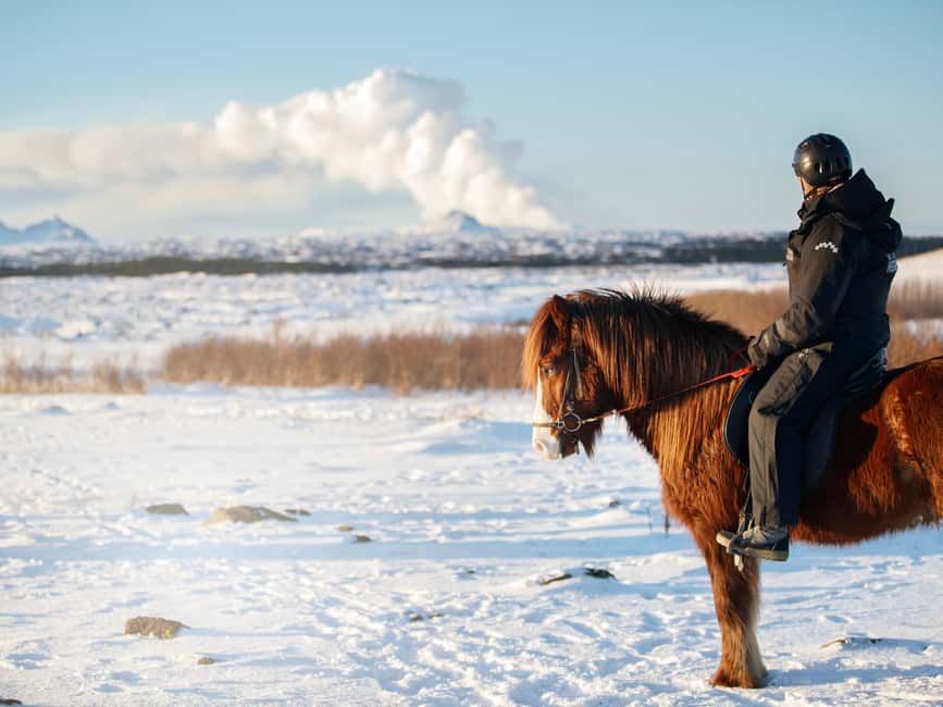 Hafnarfjörður: Horseback Riding Tour in Reykjavik Area - What to watch for: who will love this most, and who might want alternatives