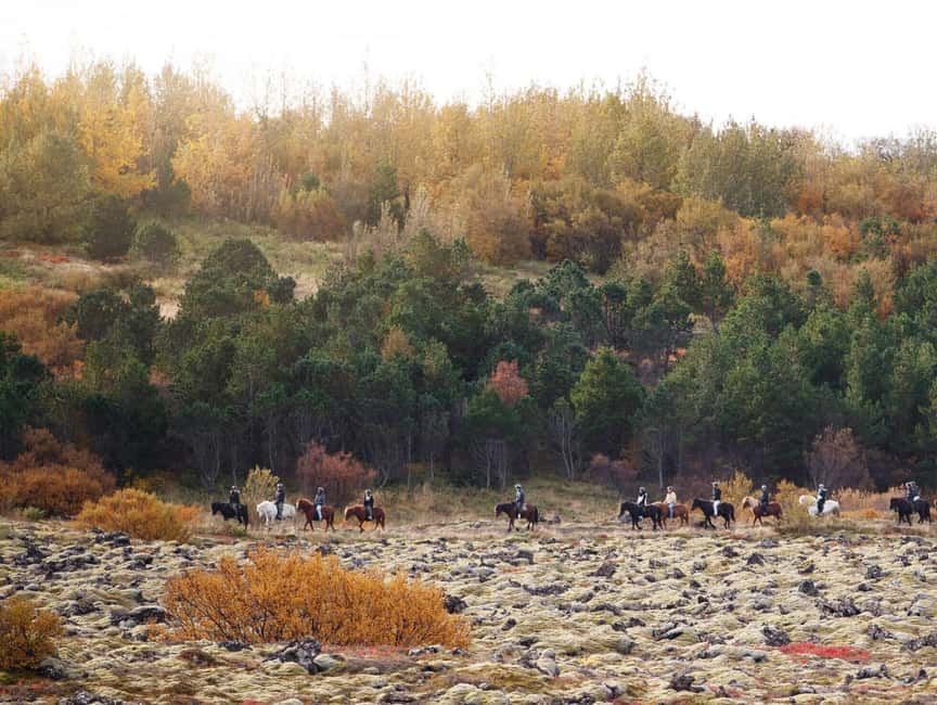 Hafnarfjörður: Horseback Riding Tour in Reykjavik Area - Should you book this Hafnarfjörður horseback riding tour near Reykjavík?