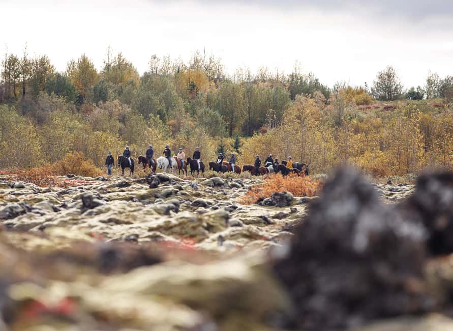 Hafnarfjörður: Horseback Riding Tour in Reykjavik Area - FAQ