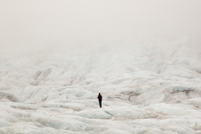 Half-Day Vatnajokull Glacier Small Group Tour from Skaftafell - Exploring Crevasses, Moulins, and Ice Water Channels