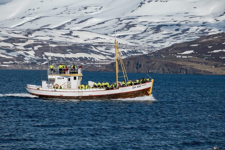 Hauganes: Whale Watching North Iceland - Eyjafjörður Fjord scenery, plus the little extras you might catch