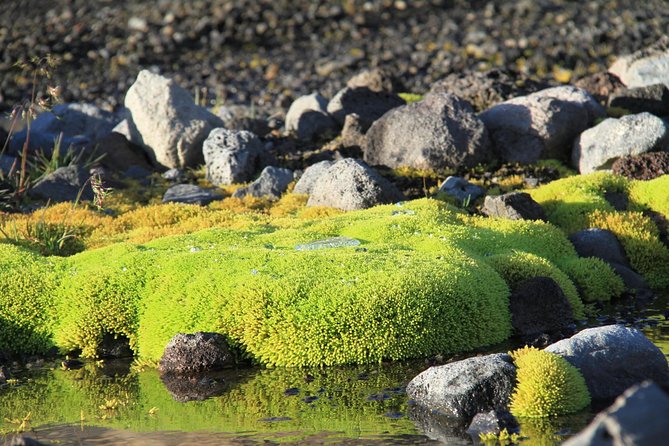 Highlights of Iceland / private guided super Jeep tour - Hraunfossar Waterfalls: Lava Meets Glacial Water