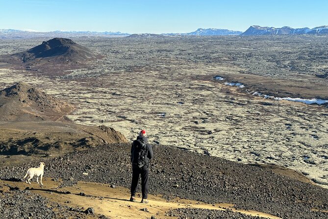 Hike to Mt Helgafell - Guides who pace the group and make the walk social