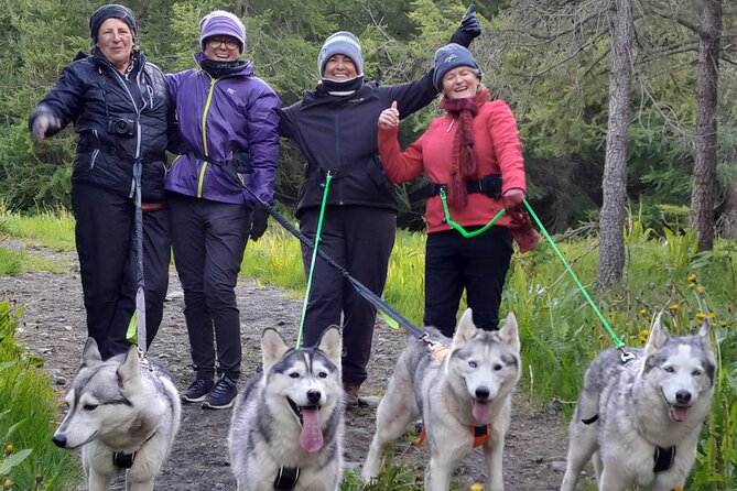 Hiking with Husky in Akureyri - Key Husky-Hiking Takeaways