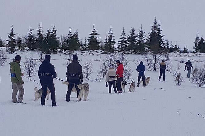 Hiking with Husky in Akureyri - Your Start Point at goHusky, Plus the Pickup Routine