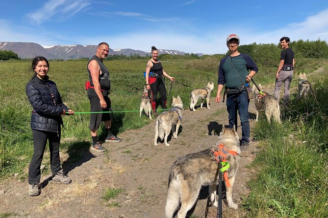 Hiking with Husky in Akureyri - The Scenery You Get in a Short Time