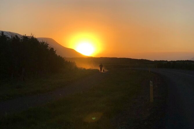 Hiking with Husky in Akureyri - After the Hike: Time with the Full Dog Family