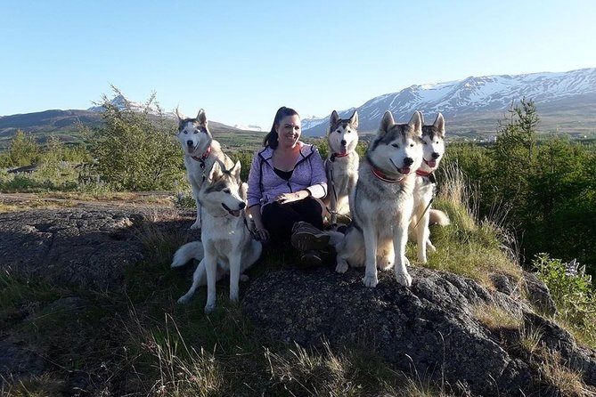 Hiking with Husky in Akureyri (private) - Private Group Value: Pricing, What You Get, and When It Feels Like a Bargain