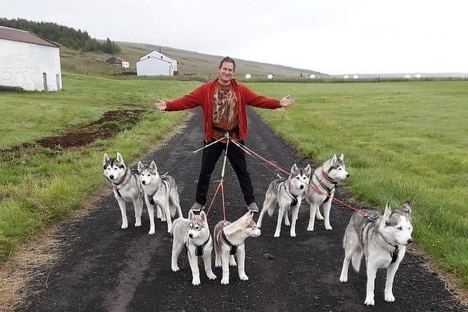 Hiking with Husky in Akureyri (private) - Family Fit: Kids, Dog-Lovers, and the Right Mindset for Husky Handling