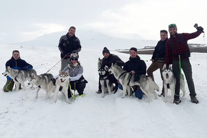 Hiking with Husky in Akureyri (private) - Weather, Seasons, and When Hiking May Switch to Sled Riding