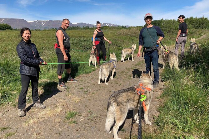 Hiking with Husky in Akureyri (private) - The Husky Walk: Your Assigned Dog, Harness Time, and the Route