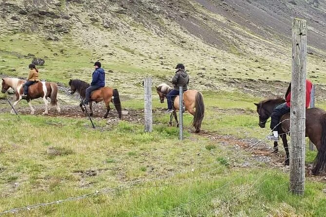 Horse Riding Tour in Reykjadalur (Smoky Valley)-All Riding Levels - What the Ride Actually Feels Like, Pace and Terrain