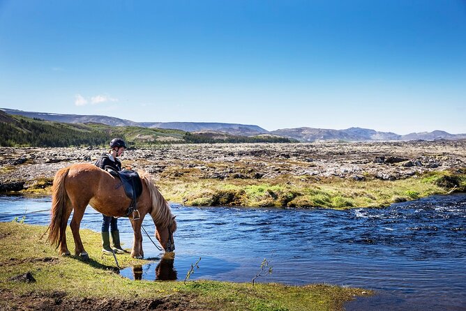 Horseback Riding Tour in Iceland - Key things that make this ride worth your time