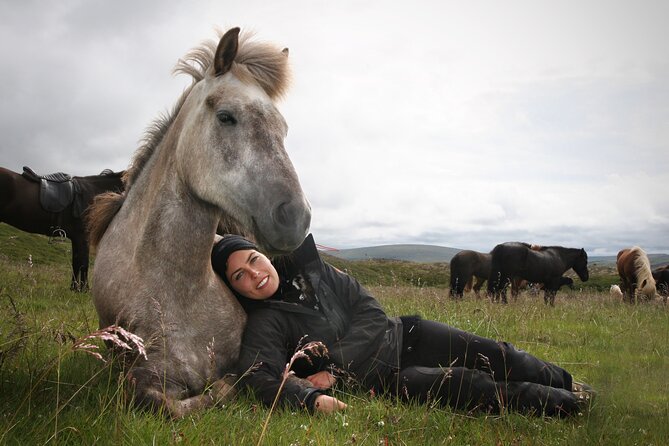 Horseback Riding Tour in Iceland - Timing and weather: why “good weather” is part of the deal