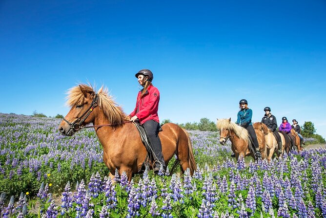 Horseback Riding Tour in Iceland - Where you’ll spend your time before and after the ride
