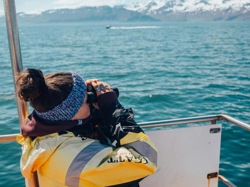 Húsavík: Family-Run and Guided Whale Watching Tour - What whales you can realistically hope to see