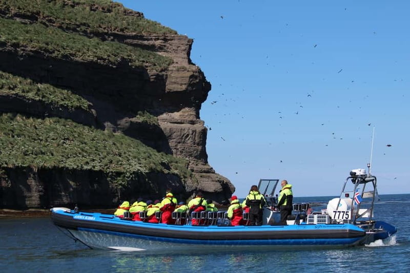 Húsavík: Original Big Whale Safari & Puffins by Speedboat - RIB speedboat comfort: warm overalls, big motion, and photo-friendly turns