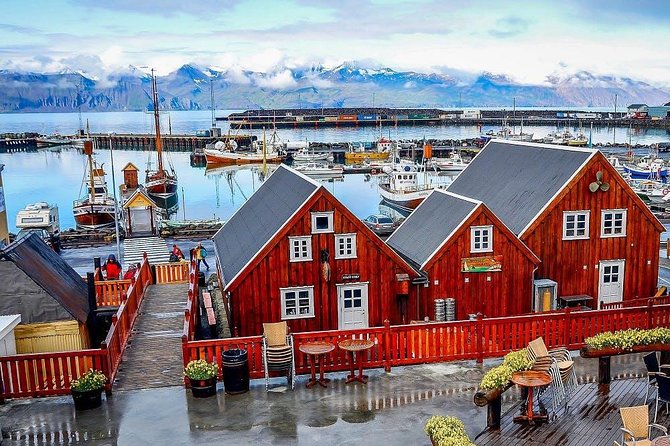 Húsavík walking tour - The gardens and wooden bridges: where the walk gets pretty