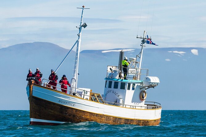 Húsavík Whale Watching Tour, family owned and operated - Quick hits before you go