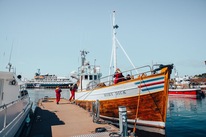 Húsavík Whale Watching Tour, family owned and operated - Why Húsavík’s Skjálfandi Bay is a whale magnet