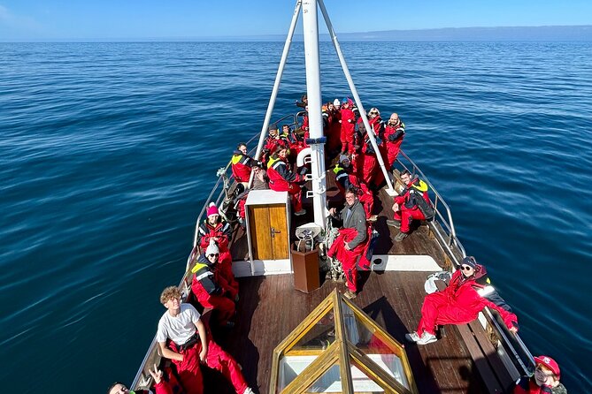 Húsavík Whale Watching Tour, family owned and operated - Small-group feel, big safety focus, and what to watch for