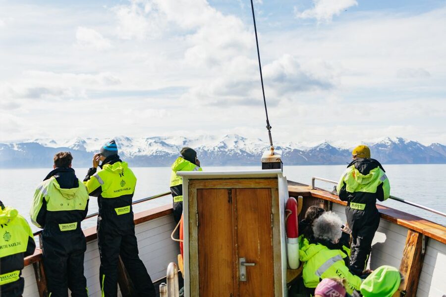 Húsavík: Whale Watching Tour with Guide - When this tour is a great fit, and when to reconsider