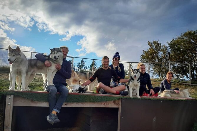 Husky Petting in Akureyri (private) - Your Arrival Plan: Pickup and the Glæsibær 3 Meeting Point