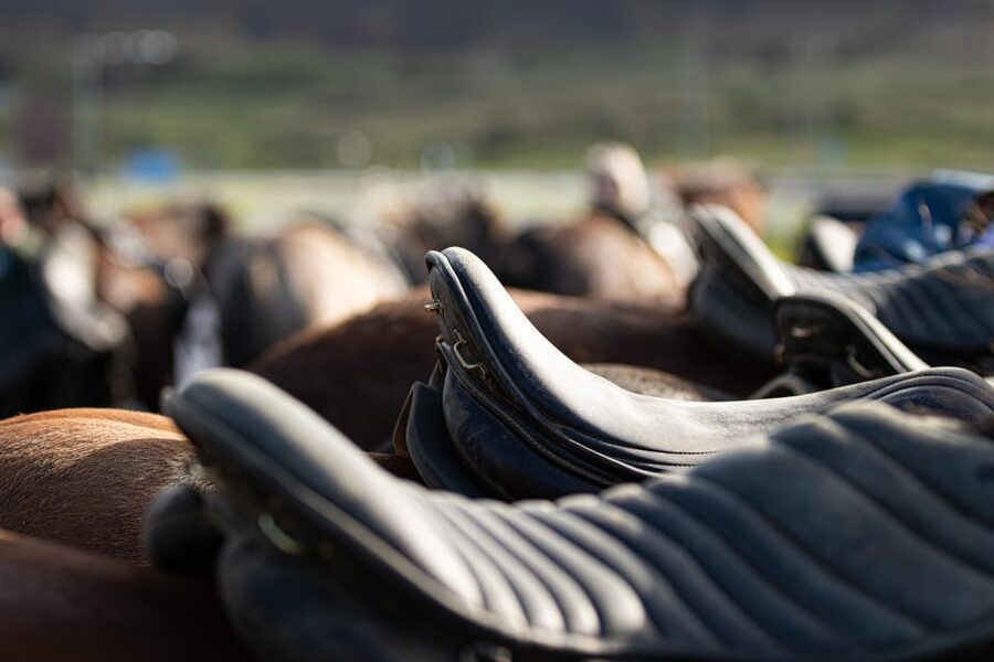 Hveragerdi: Countryside Charm Horse Riding Tour - Key highlights worth your time