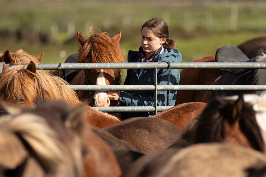 Hveragerdi: Countryside Charm Horse Riding Tour - Riding Time Around Eldhestar Volcano Horses and Ölfus