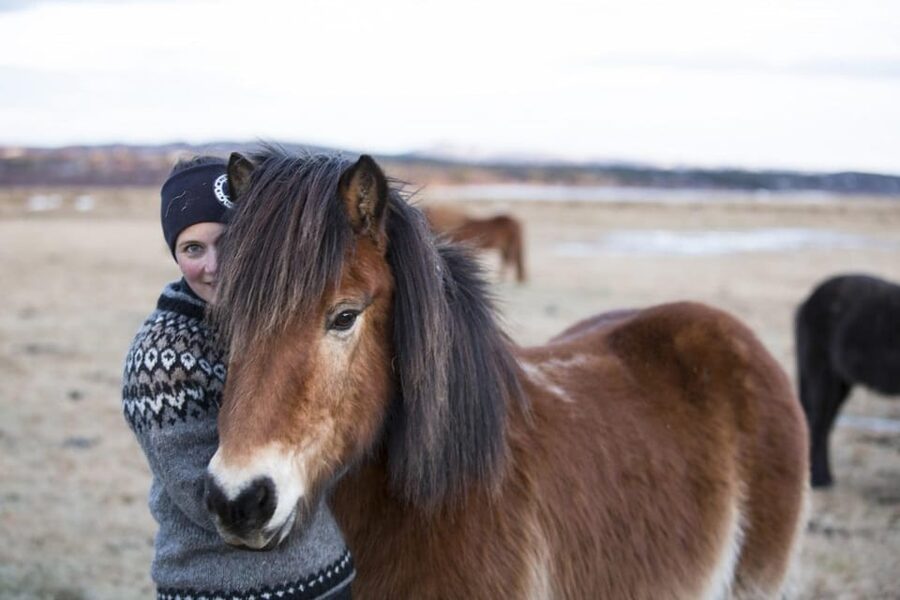 Hveragerdi: Countryside Charm Horse Riding Tour - Final Thoughts: Should You Book This Hveragerdi Ride?