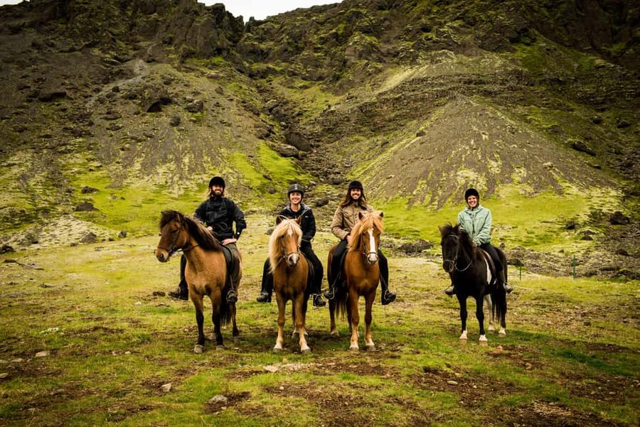 Hveragerði: Horseback Riding Tour for Beginners and … - Key Points to Know Before You Go