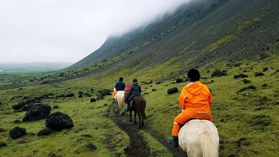 Hveragerði: Horseback Riding Tour for Beginners and … - Small Group Service That Keeps It Personal