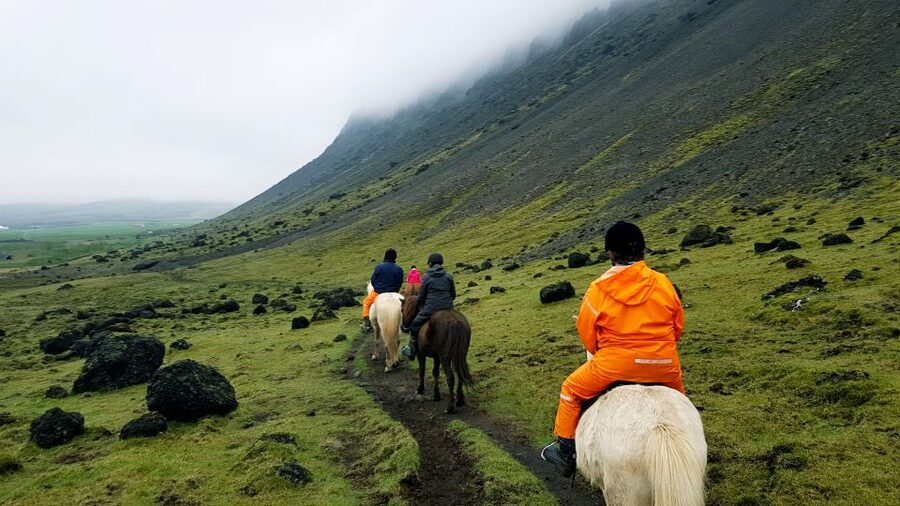 Hveragerdi: Reykjadalur (Hotspring Valley) Horse Riding Tour - Start in Hveragerdi: The Coffee Area Check-In Makes It Easy