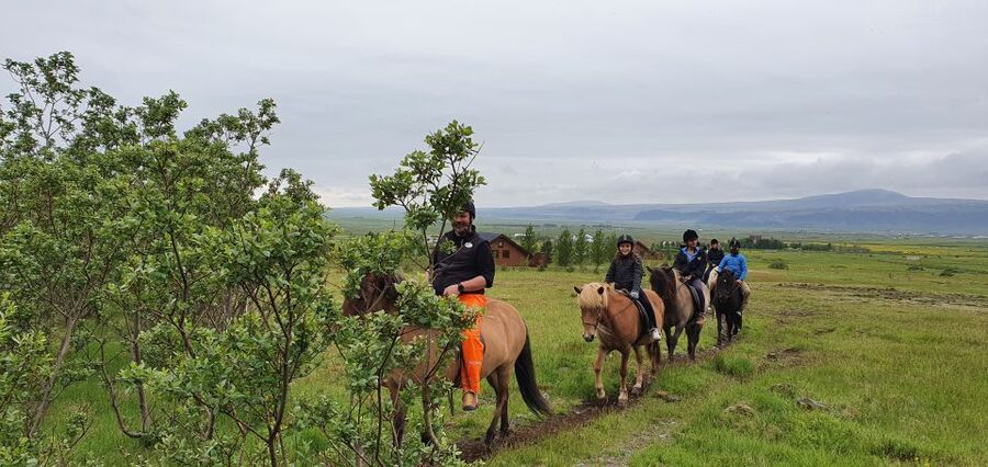 Hveragerdi: Reykjadalur (Hotspring Valley) Horse Riding Tour - The Ride Plan: 2 Hours Total, About 1.5 Hours in the Saddle