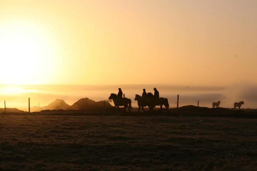 Hveragerdi: The Siggi Horse Riding Tour - Price and what $132 buys you in real life